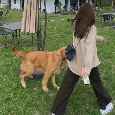 红色的种子